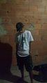 Caio L. S. C.
