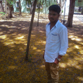 Freelancer Venkatesh.d D.