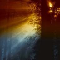 Freelancer Diego R. V.