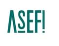 Asefi A. F.
