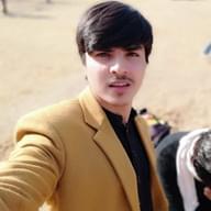 Freelancer Wahaj A.