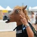 Cavalo P.