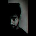 Freelancer Naveen N.