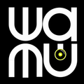 Wallacy M.