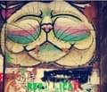 Tania H.