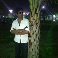 Freelancer Raj K.