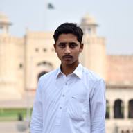 Freelancer Naveed A.