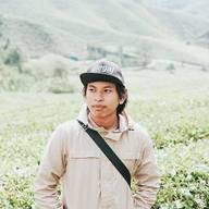 Freelancer Nk P.