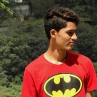 Freelancer Ankit B.