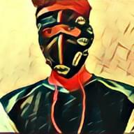 Freelancer Ritik P.
