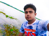 Freelancer Shohel