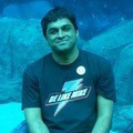 Freelancer Avinash V.