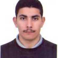 Freelancer Elsayed Y.