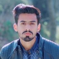 Freelancer Junaid A. K.