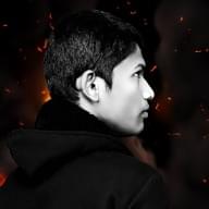 Freelancer Vijendra T.