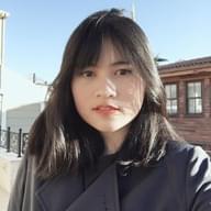 Freelancer Hong P. T.