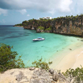 Carol