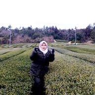 Freelancer Nur F. S.