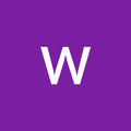 Freelancer Wilson S.