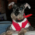 Luis A. D. L. P.
