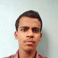 Freelancer Dilli R.