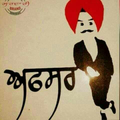 Freelancer Lovepreet D.