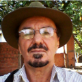 Amelino V. P.