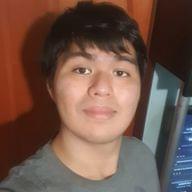 Freelancer Hector D. H. A.