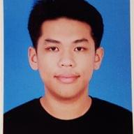 Freelancer Leong H.