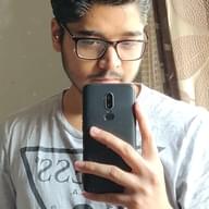 Freelancer Maneesh S.