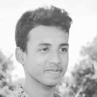 Freelancer Rakibul H.