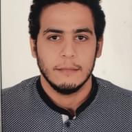 Freelancer Muhamed F.