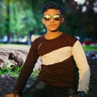 Freelancer Md S.