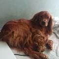 Nicky A. B.