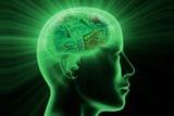 Lincon M.