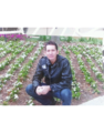 DENIS S. L.