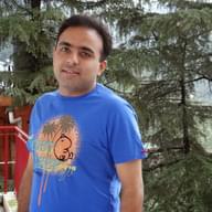 Freelancer Ankush C.