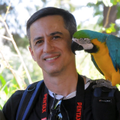 Paulo R. R.