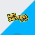 Luis E. G. P.