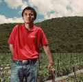 Fabian S.