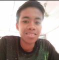 Freelancer Biskot