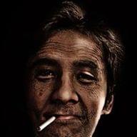 Freelancer Lester L. V.