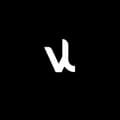 Vinicius L.