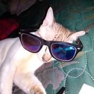 Freelancer Rachmatillah P.