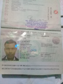 Bagha M.