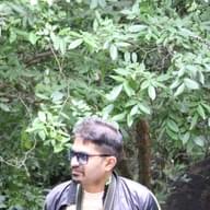 Freelancer M K. N.