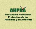 AHPRA H.