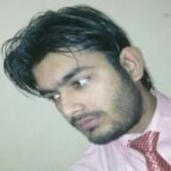 Freelancer Shubham S. R.