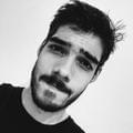 Vinicius R. P.