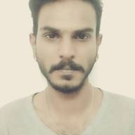 Freelancer Tanush B.